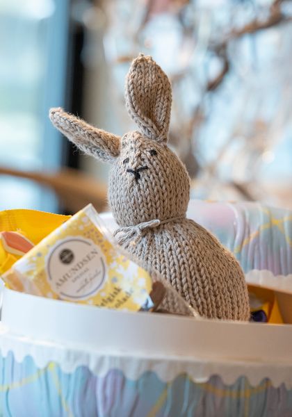Hovedbilde Easter kanin